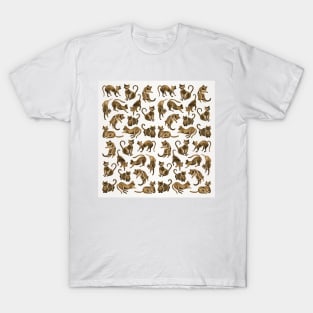 sepia cat positions T-Shirt